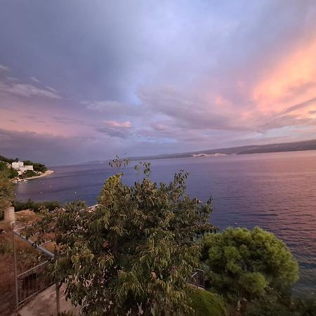 Apartments Lile By The Sea, Celina Zavode Dış mekan fotoğraf