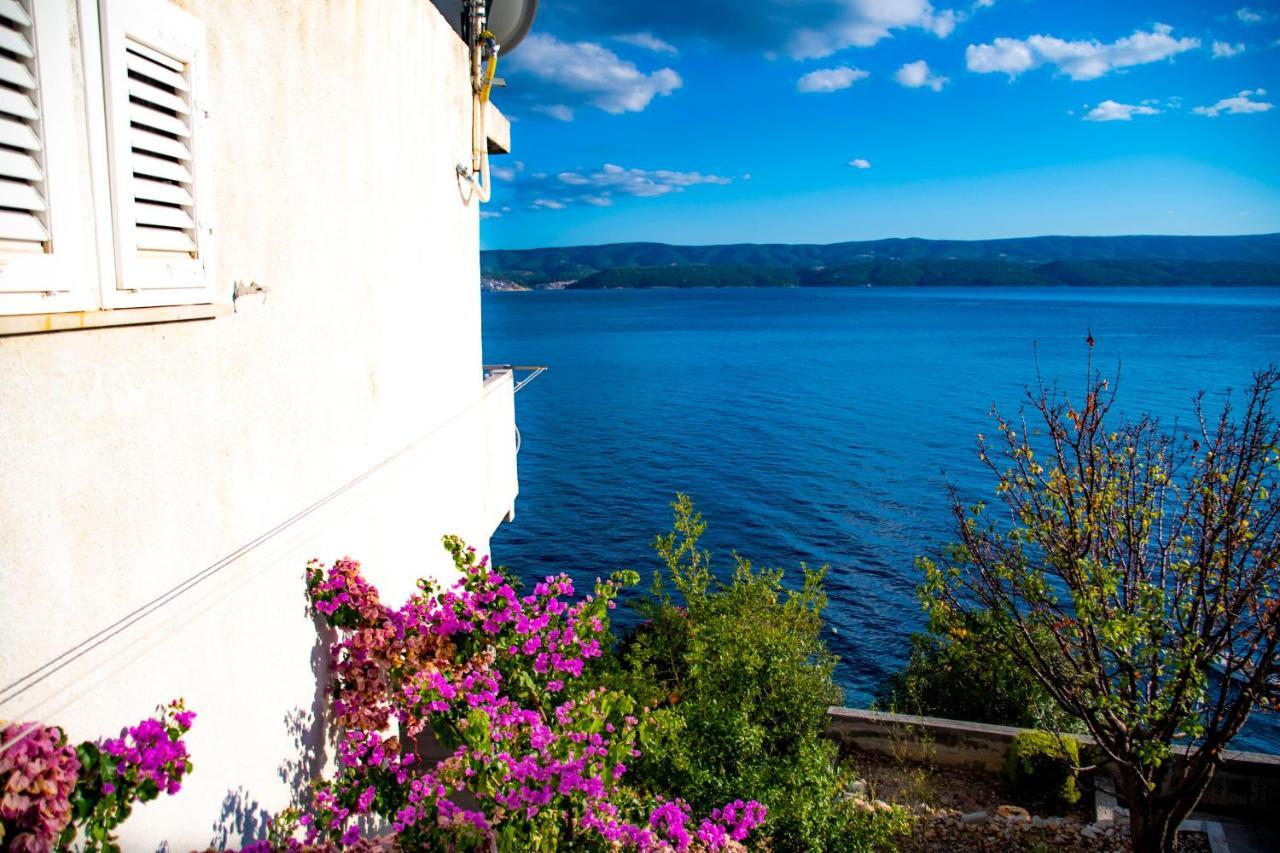 Apartments Lile By The Sea, Celina Zavode Dış mekan fotoğraf