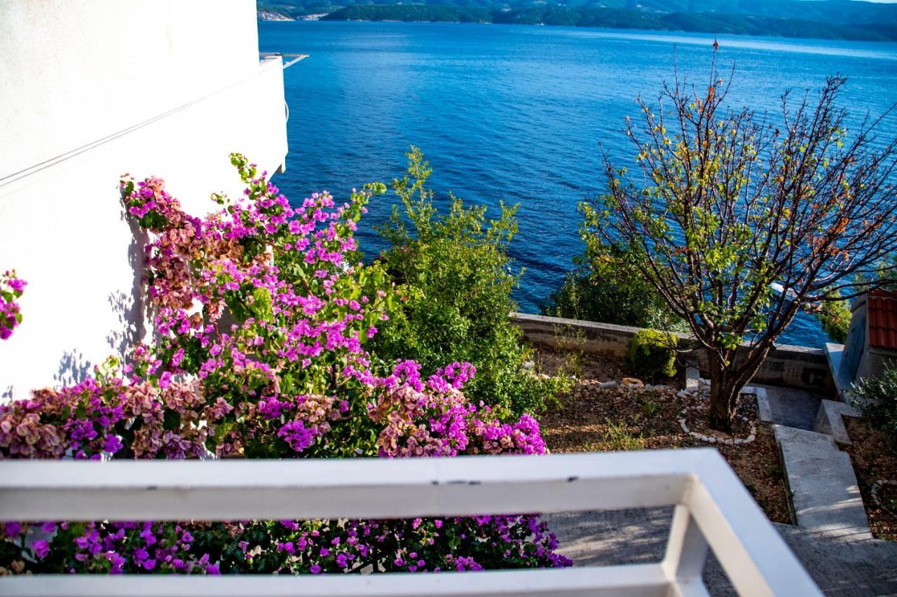 Apartments Lile By The Sea, Celina Zavode Dış mekan fotoğraf